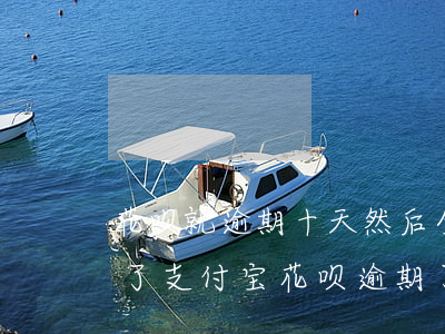 花呗就逾期十天,然后全部现在全部还了用不了（支付宝花呗逾期了想一点点还）