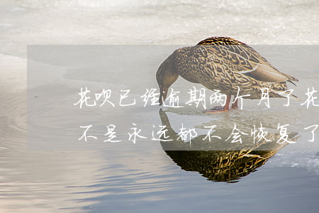 花呗已经逾期两个月了(花呗逾期3个多月是不是永远都不会恢复了)
