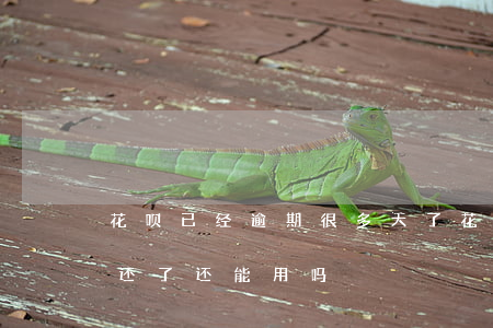 花呗已经逾期很多天了(花呗逾期了几天,现在还了,还能用吗)