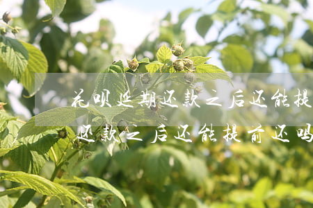 花呗延期还款之后还能提前还吗-花呗延期还款之后还能提前还吗