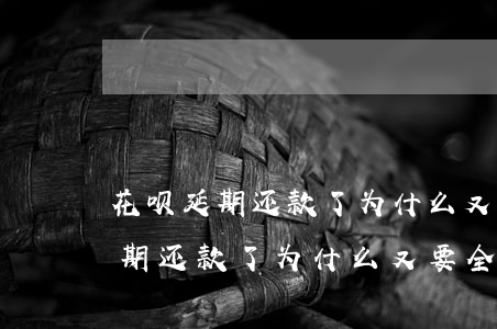 花呗延期还款了为什么又要全款还-花呗延期还款了为什么又要全款还款