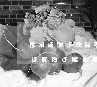 花呗延期还款就不能还最低了吗-花呗延期还款后还能最低还款吗