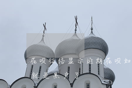 花呗 征信 显示逾期(花呗如果逾期征信是不是就是黑户了)