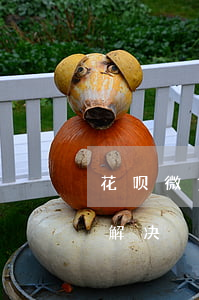花呗微贷逾期了怎么办(花呗有微贷行为怎么解决)