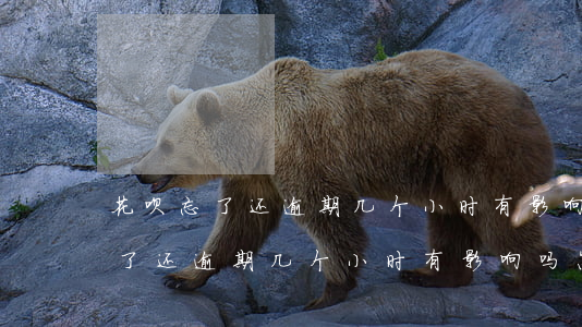 花呗忘了还逾期几个小时有影响吗-花呗忘了还逾期几个小时有影响吗怎么办