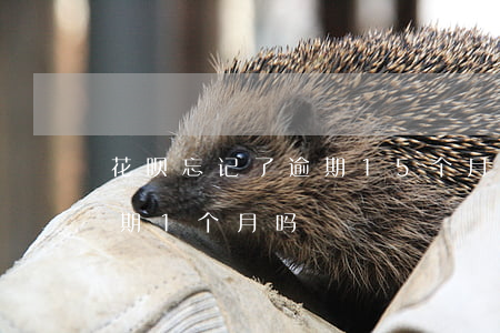 花呗忘记了逾期15个月(支付宝花呗可以逾期1个月吗)