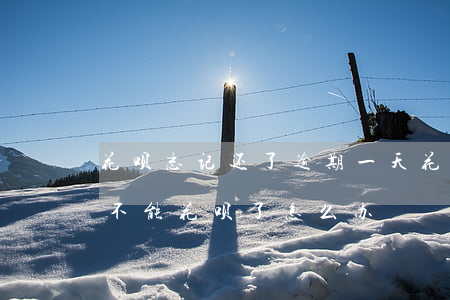 花呗忘记还了逾期一天(花呗忘了还款逾期了不能花呗了怎么办)