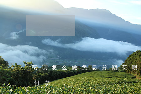 花呗怎么做免息分期(花呗免息分期怎么分期付款)
