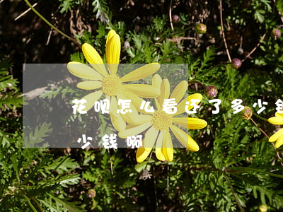 花呗怎么看还了多少钱-花呗怎么看还了多少钱啊