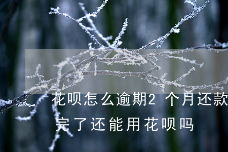花呗怎么逾期2个月还款(花呗第二次逾期还完了还能用花呗吗)