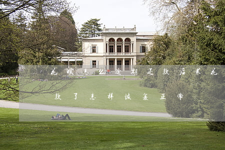 花呗怎么逾期还款后果(花呗逾期过后已经还款了怎样恢复正常)