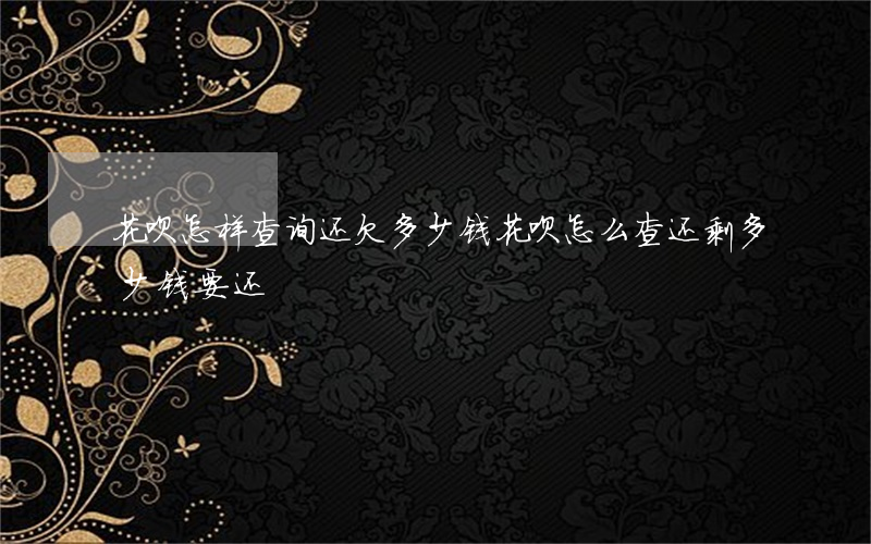 花呗怎样查询还欠多少钱(花呗怎么查还剩多少钱要还)
