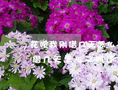 花呗我刚借几天怎么又叫还款了-花呗我刚借几天怎么又叫还款了呢