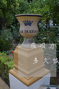花呗才逾期两天就冻结(花呗逾期两天被冻结,多久恢复额度)