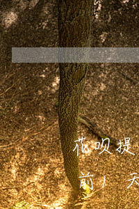 花呗提前一天还到还款日还扣钱吗-花呗提前1天还款