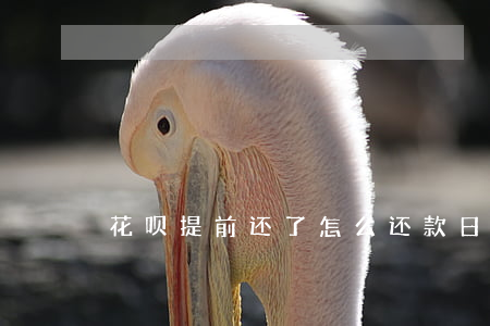 花呗提前还了怎么还款日还要还-