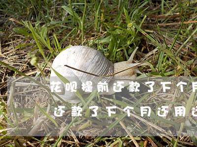 花呗提前还款了下个月还用还吗-花呗提前还款了下个月还用还吗安全吗