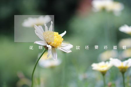 花呗提前还款还要还最低还款吗-