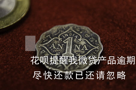 花呗提醒我微贷产品逾期(花呗有产品逾期请尽快还款已还请忽略)