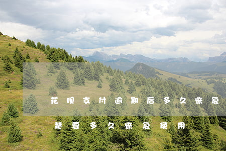 花呗支付逾期后多久恢复(花呗逾期已经还清楚,要多久恢复使用)