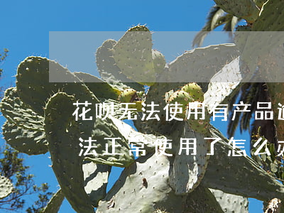 花呗无法使用有产品逾期(花呗没有逾期却无法正常使用了怎么办)