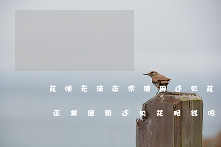 花呗无法正常使用还欠花呗钱吗-花呗无法正常使用还欠花呗钱吗怎么办