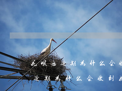 花呗无逾期为什么会收到花呗来电-花呗无逾期为什么会收到花呗来电提醒
