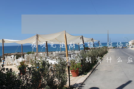 花呗无逾期会被上征信吗(花呗借呗逾期上征信吗?花呗逾期有什么后果)