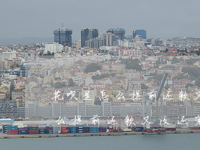 花呗是怎么提前还款又没还完的-花呗是怎么提前还款又没还完的呢
