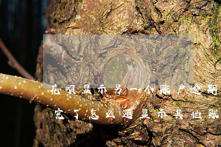 花呗显示另一个账户逾期怎么回事-花呗还完了怎么还显示其他账号有逾期