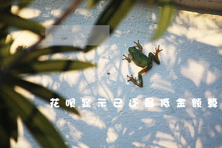 花呗显示已还最低金额算逾期没-