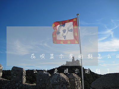 花呗显示有逾期怎么回事(花呗并没有逾期怎么还是提示逾期了)