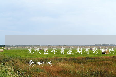 花呗显示有逾期有影响吗(花呗显示有逾期有影响吗)