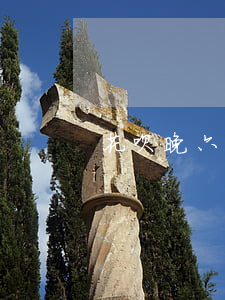 花呗晚六天还款：影响及后果分析