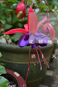 花呗晚还一天算逾期吗会上征信吗-花呗晚还1天会上征信吗