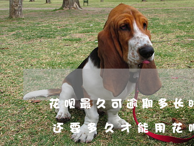花呗最久可逾期多长时间(花呗有过逾期记录还要多久才能用花呗)