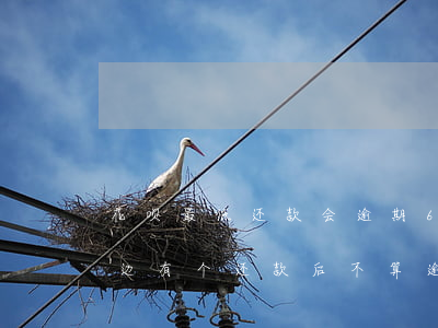 花呗最低还款会逾期6(花呗逾期最低还款后边有个还款后不算逾期)