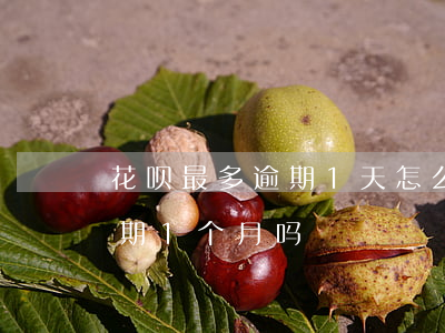 花呗最多逾期1天怎么办(支付宝花呗可以逾期1个月吗)