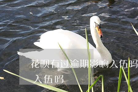 花呗有过逾期影响入伍吗(花呗有过逾期影响入伍吗)