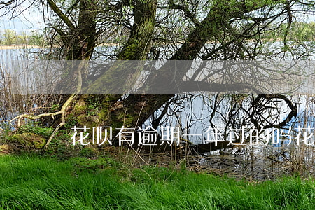 花呗有逾期一年过的吗(花呗可以逾多少期)