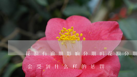 花呗有逾期影响分期吗(花呗分期逾期不还款会受到什么样的惩罚)