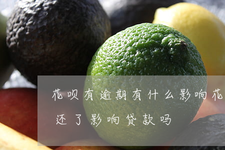 花呗有逾期有什么影响(花呗有过逾期,但是都还了,影响贷款吗)