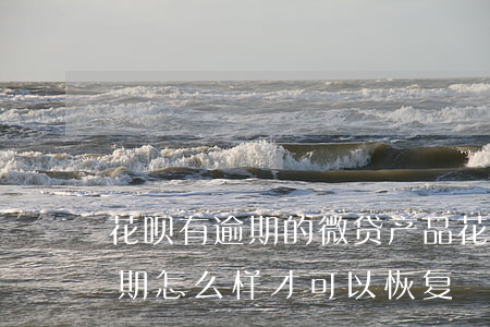 花呗有逾期的微贷产品(花呗说有微贷产品逾期怎么样才可以恢复)