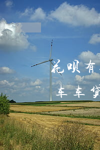 花呗有逾期能贷款买车吗(支付宝花呗逾期买车车贷可以通过吗?)