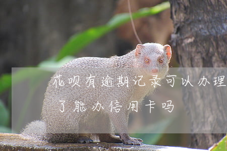 花呗有逾期记录可以办理信用卡吗(花呗逾期了能办信用卡吗?)