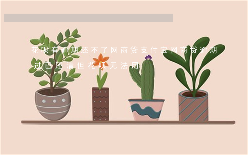 花呗有逾期还不了网商贷(支付宝网商贷逾期过,已还清,但花呗无法用)