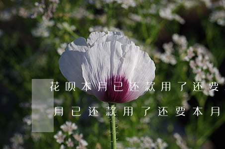 花呗本月已还款用了还要本月还吗-花呗本月已还款用了还要本月还吗怎么办