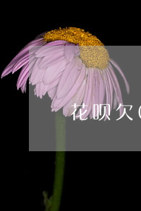 花呗欠0.82怎么还(花呗0.05)