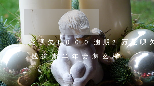 花呗欠1000逾期2万(花呗欠了800块钱,逾期半年会怎么样?)