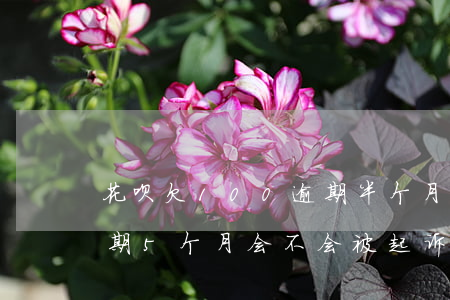 花呗欠100逾期半个月(花呗欠2000逾期5个月会不会被起诉)